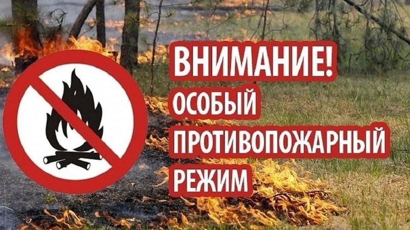 С 25 апреля на территории Кировской области введен особый противопожарный режим.
